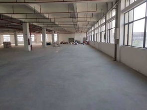 廣州市番禺區帶消防噴淋有現成環評食品廠出租